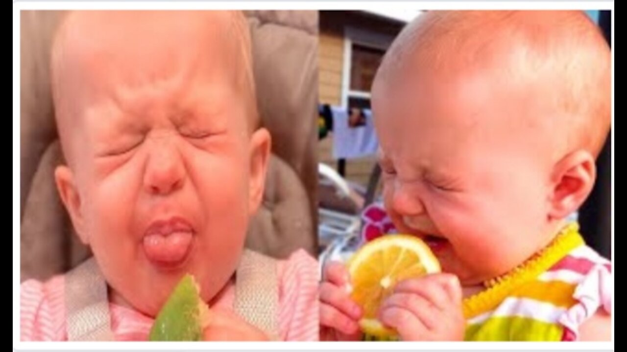 Laugh out loud with baby Eating Lemon Reaction!!