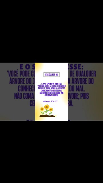 VERSÍCULO DO DIA 01/11/2022.#shorts