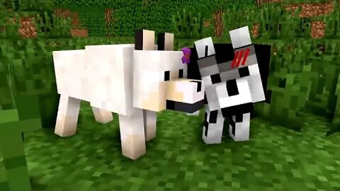 WOLF @ LIFE @ MOVIE @ @ Cubic @ Minecraft @ Animations @ All Episodes + BONUS