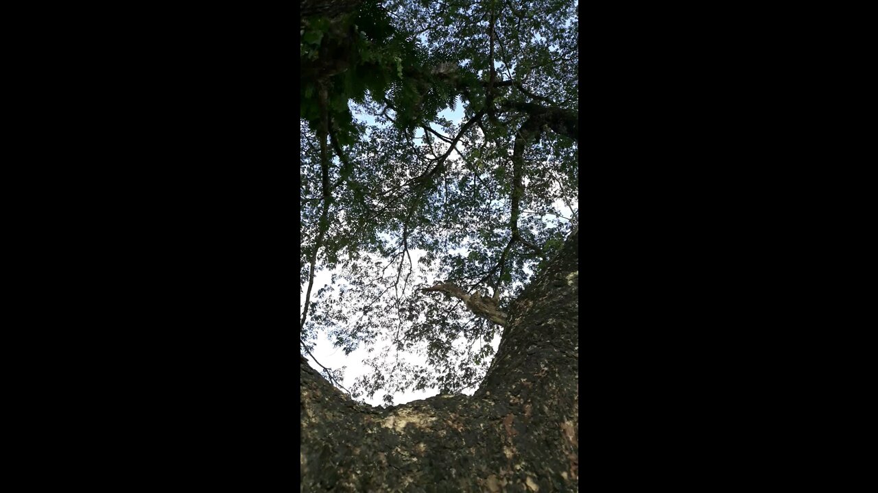 Our beautiful village