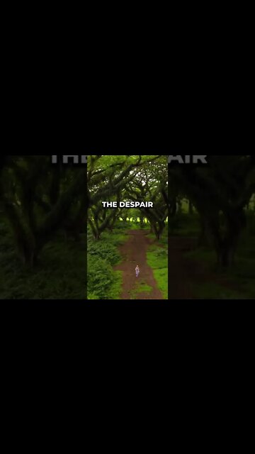 It's all okay, you are okay! #meditation #sleep #shorts