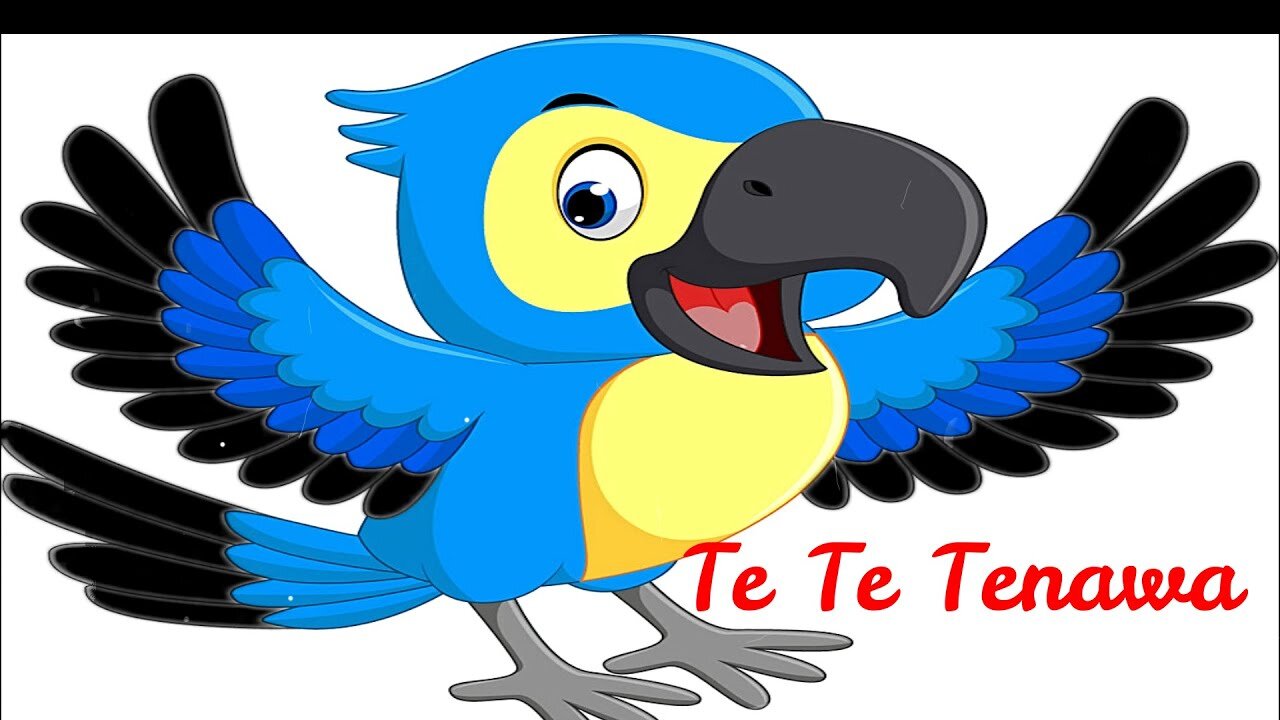 2022. best funny ,bird Try Not To Laugh | Funny Birds Video Compilation