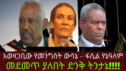 Ethiopia: ሰበር|አወዛጋቢው የመንግስት ውሳኔ – ፋሲል የኔዓለም | Zehabesha | top mereja