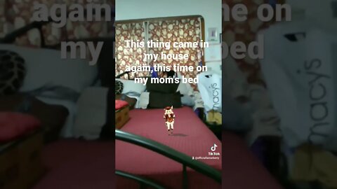 That little thing snuck into my house again + Yoshi's Island Gameplay