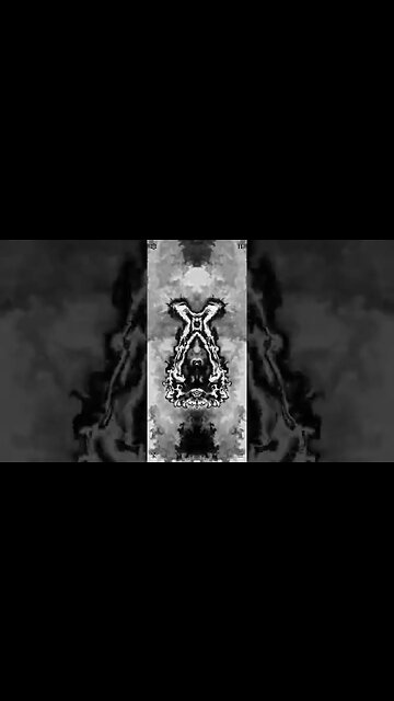 Magic fluids: perfect symmetry #14