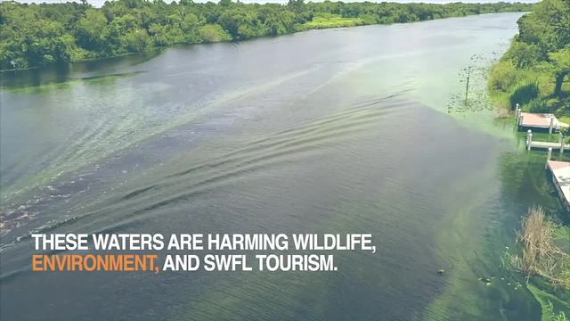 Lake Okeechobee and pollution causing green and brown water