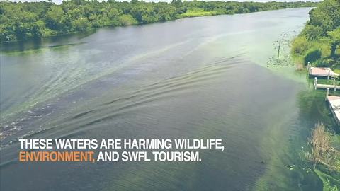 ​Lake Okeechobee and pollution causing green and brown water