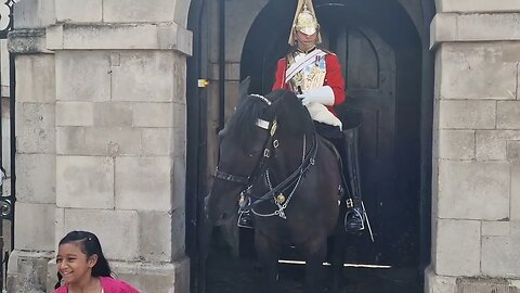 So much disrespect even the horse noticed guard tells tourist to move back #horseguardsparade