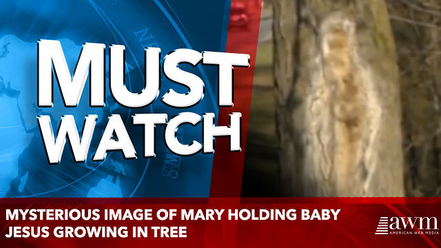 Mysterious Image Of Mary Holding Baby Jesus Growing In Tree