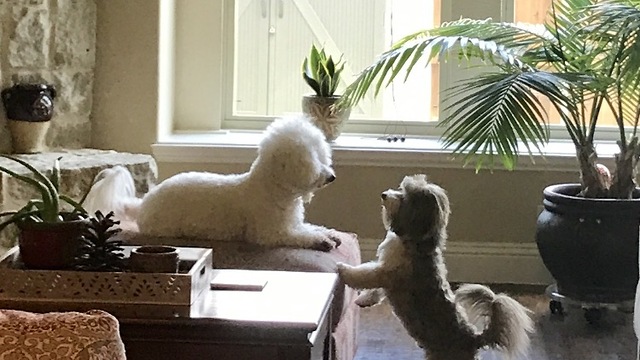 Becoming friends