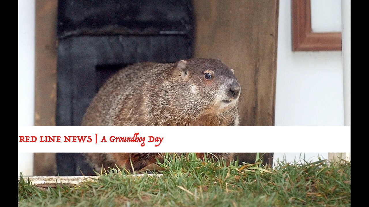 Groundhog Day 2024