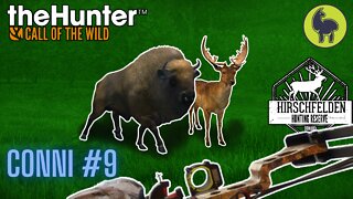 Conni #9 Hirschfelden | theHunter: Call of the Wild (PS5 4K)