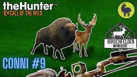 Conni #9 Hirschfelden | theHunter: Call of the Wild (PS5 4K)