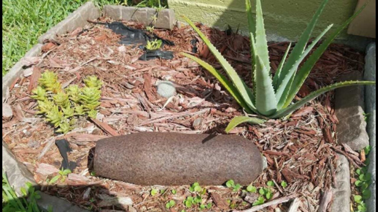 Bomb squad removes live World War II ordnance from Port St. Lucie home