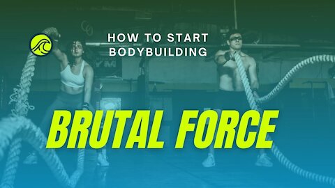 What is Brutal Force?