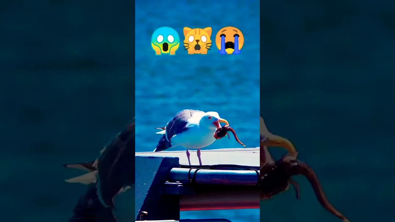 Like subscribe 🥶omg 😱😨Bird eating fish 😱🙀 🐠😭 | ua58sb #shorts #animals