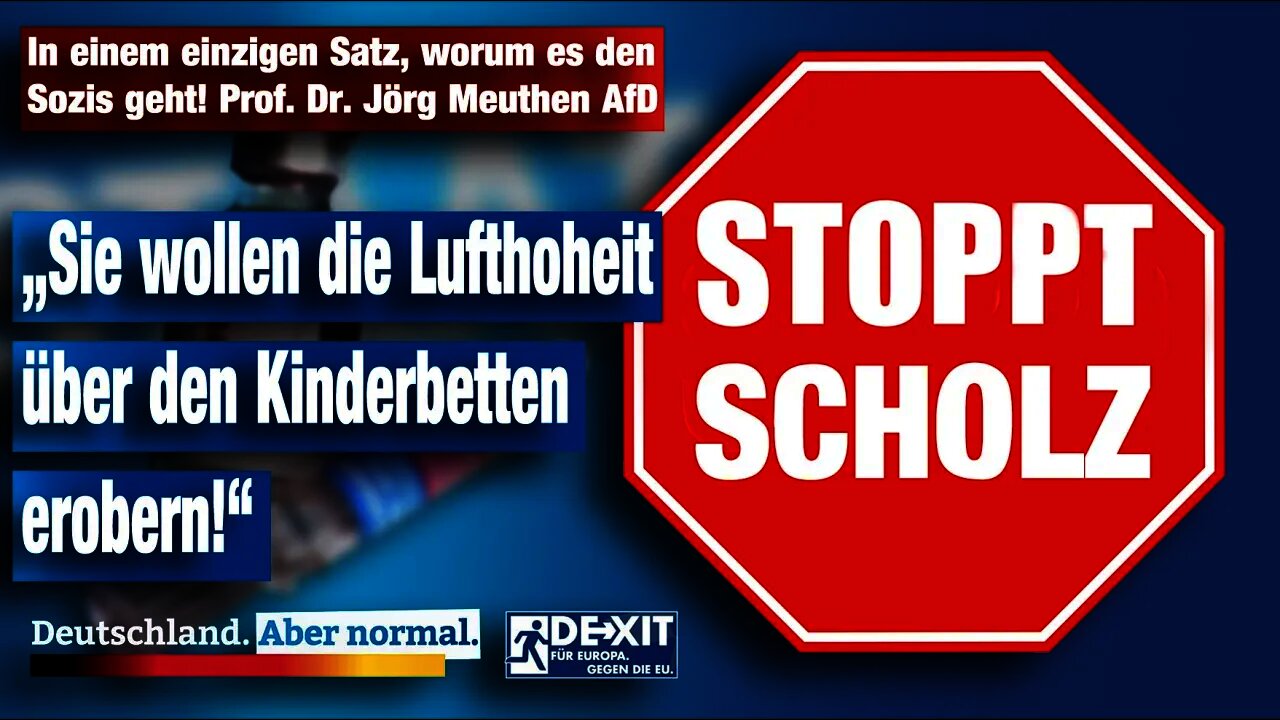 In einem einzigen Satz, worum es den Sozis geht! Prof. Dr. Jörg Meuthen AfD