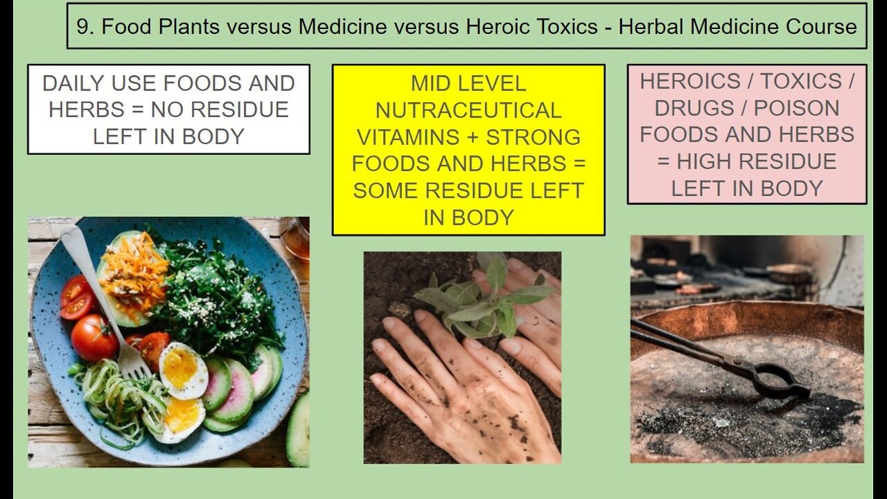 Personal Alkemy - Materia Medica BONUS MATERIAL Side Effects and Toxicity and More