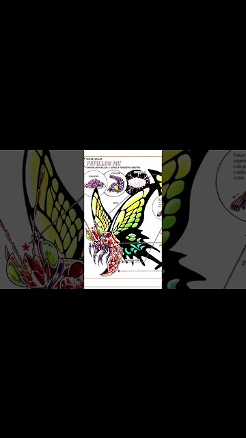 Os Cavaleiros Do Zodíaco - Sapuris De Papillon - Myu [Pause o Vídeo Caso Não Consiga Ler]