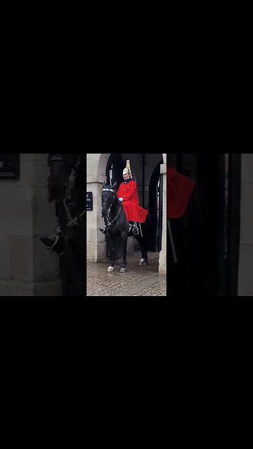 armed police the box men and the foot guard #horseguardsparade