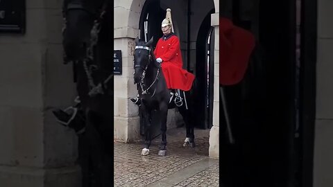 armed police the box men and the foot guard #horseguardsparade