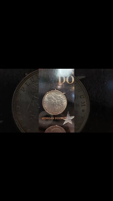 WALL of Collectibles!