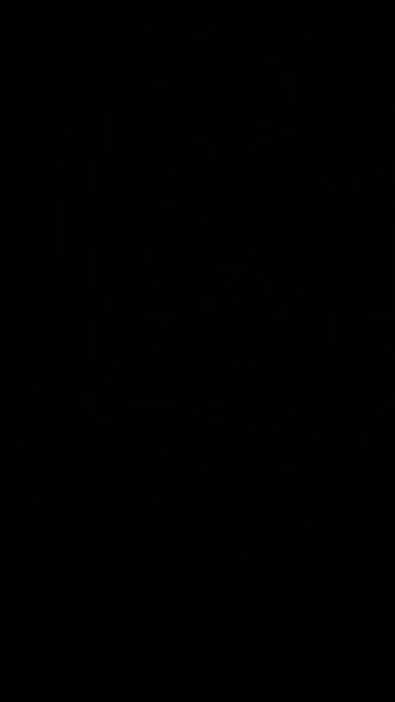 Red Shoe Club Conspiracy Theory