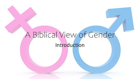 Gender and the Bible #7 - Mr Perfect