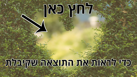 מבחן האהבה: יש עבורך אהבה אמתית אחת