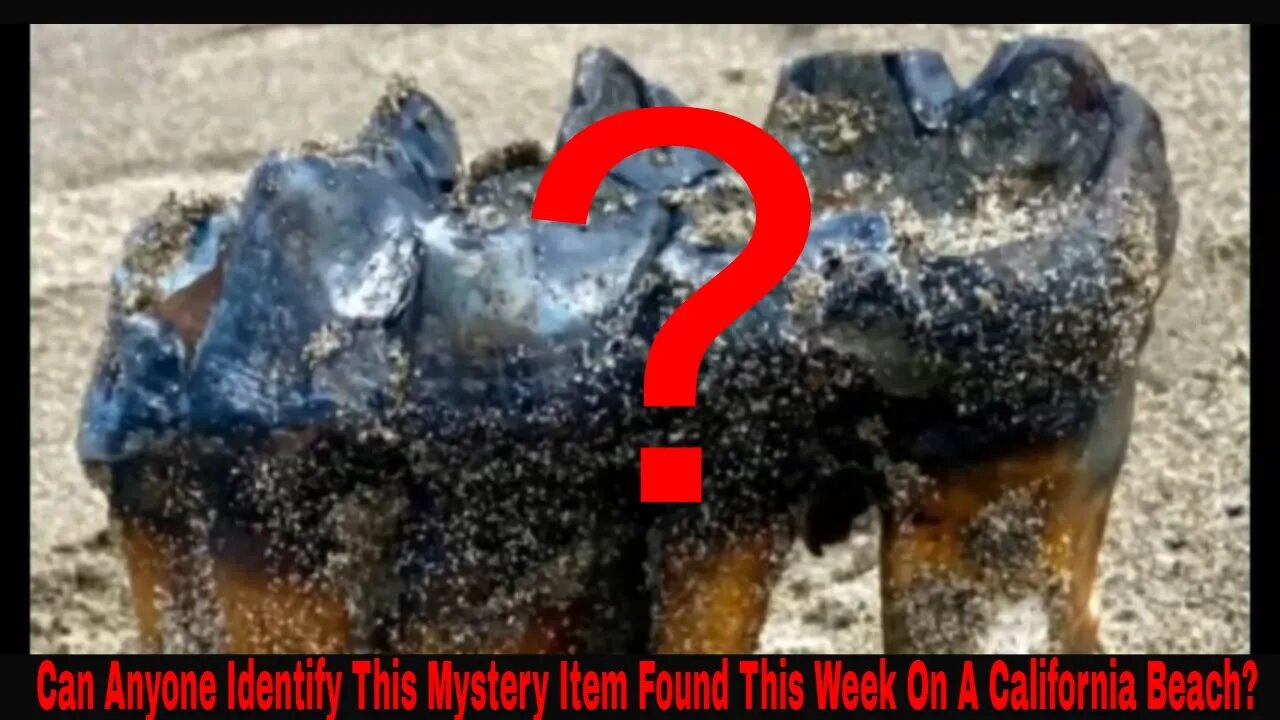 Can Anyone Identify This Mystery Item Found This Week On A California Beach?