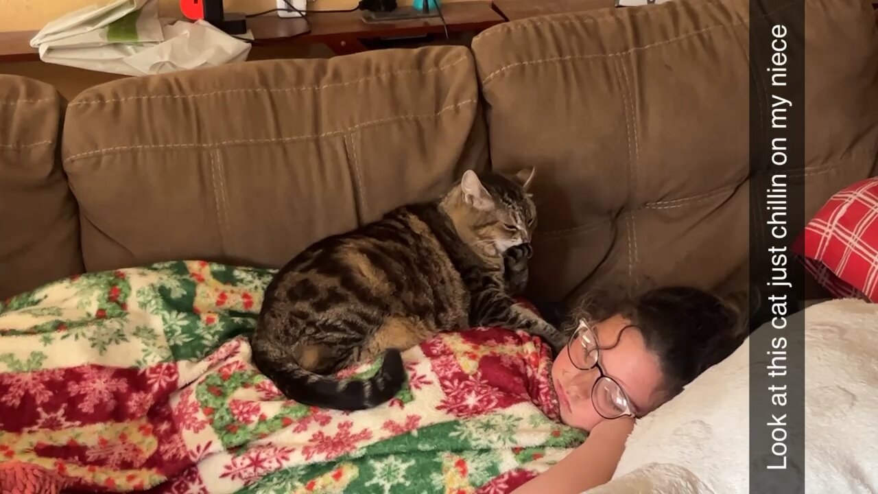 This fat cat is grooming herself while laying on my niece