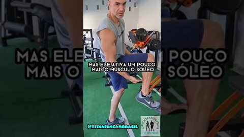 Panturrilhas ao estilo Arnold Schwarzenegger, o famoso exercício burrinho