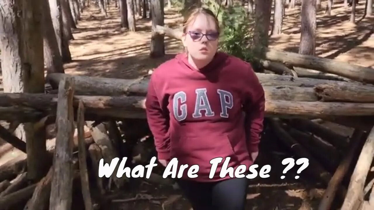 Found These Strang Structures | ARE THEY BIGFOOT HOUSE'S ?????