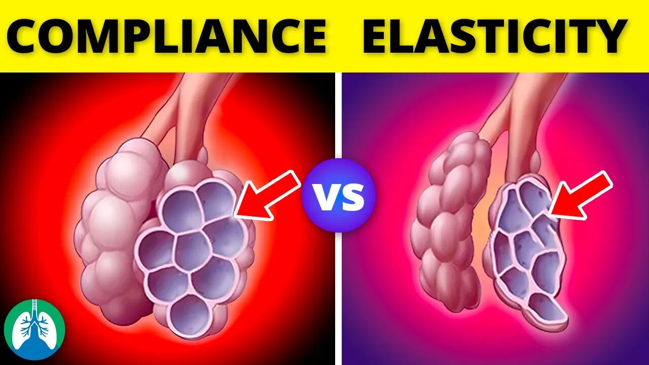 Lung Compliance vs. Elasticity *EXPLAINED*