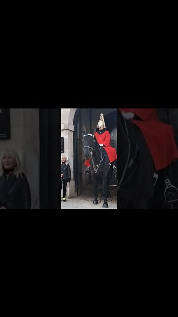 Don't get too close #horseguardsparade