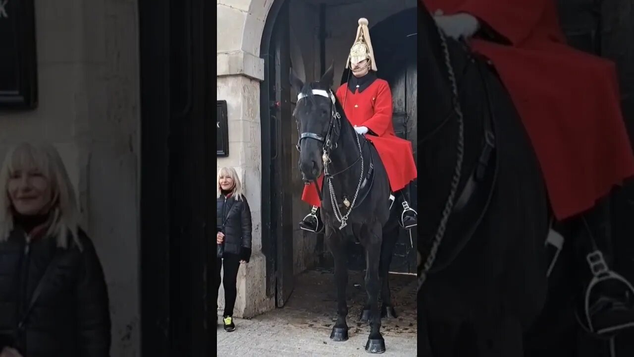 Don't get too close #horseguardsparade
