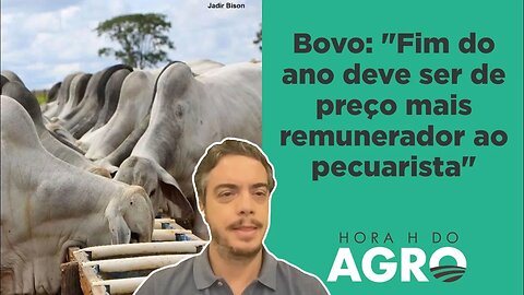 Tendência mudou? Boi gordo volta ao patamar de R$ 200 | HORA H DO AGRO