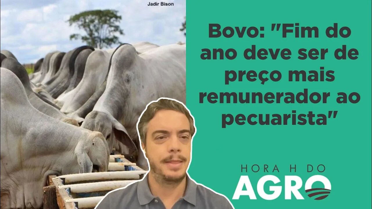 Tendência mudou? Boi gordo volta ao patamar de R$ 200 | HORA H DO AGRO