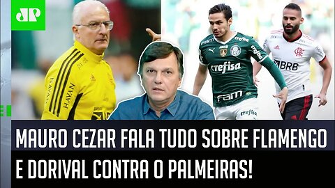 "É INFORMAÇÃO! A POSIÇÃO do Flamengo ANTES do jogo com o Palmeiras era de..." Mauro Cezar FALA TUDO!