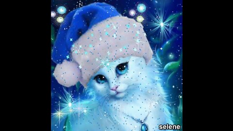 All cats are Beautiful