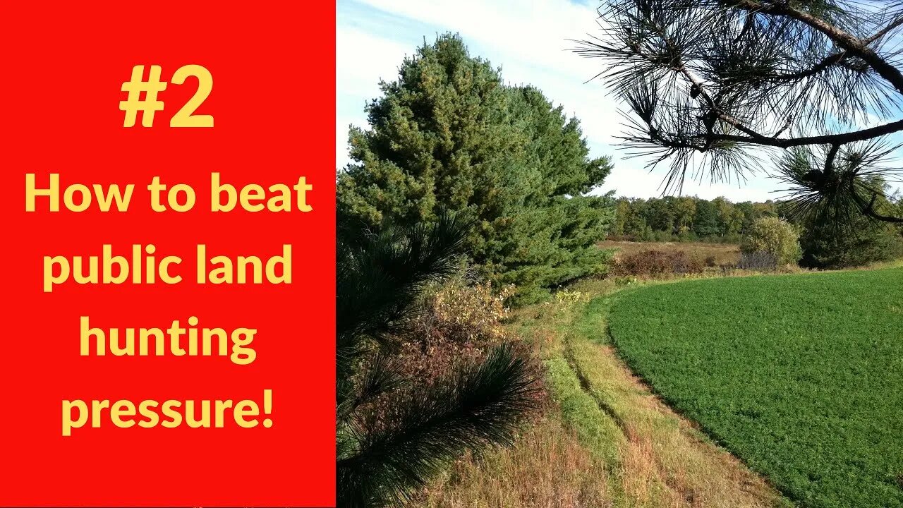 #2 Public land hunting pressure - overlooked properties