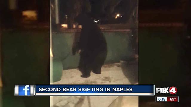 Bear sightings alarm residents in wake of bear attack