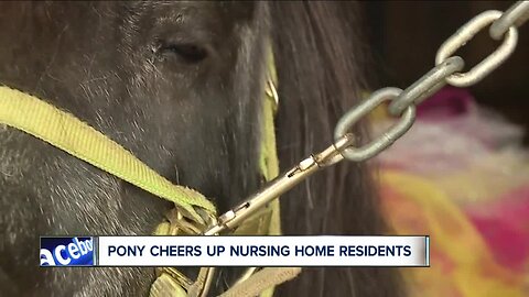 Princess the Pony, decked out in tutu and unicorn horn, cheers up seniors at Fairview Park nursing home