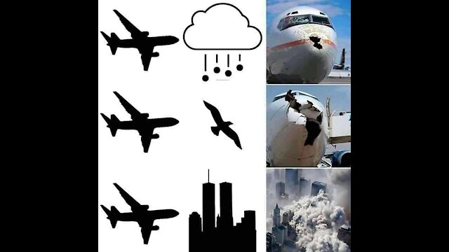 PLANE VS BIRDS AND STEEL DID SEPTEMBER 11 2001 EXPOSE ISRAEL CONNECTION TO WORLD TRADE CENTER ATTACK
