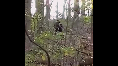 Bigfoot Saves Canadian Teen