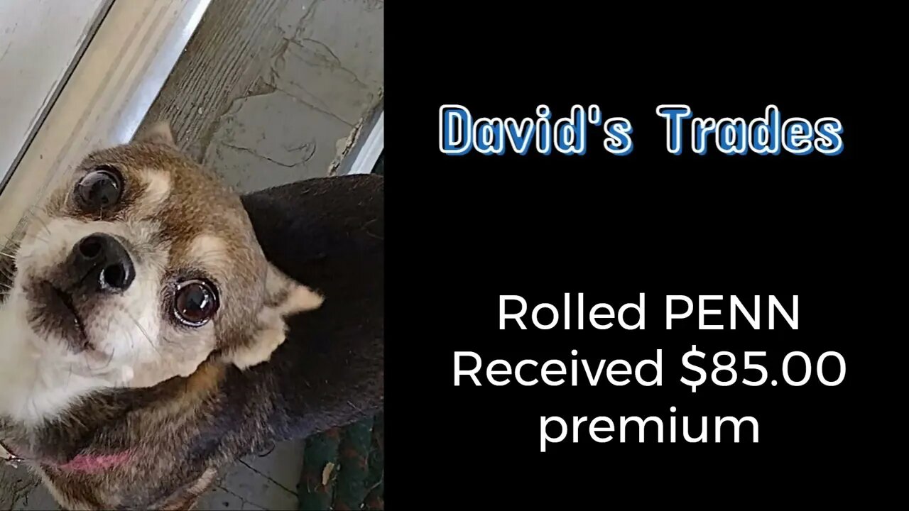 Rolled PENN and received a premium of $85.00