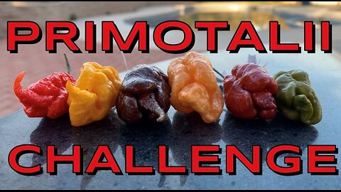 6 Primotaliis CHALLENGE! Peach, Yellow, Caramel, Mustard, Red + Choc. by Deathridge! Endorphin dump!