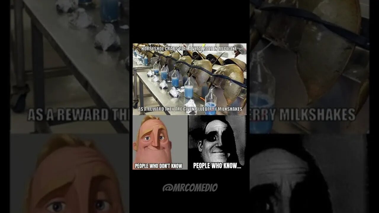 Rewarding Milkshake - Dank Meme v16