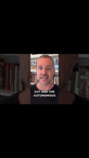 Consciousness is a feedback loop between the mind and the environment