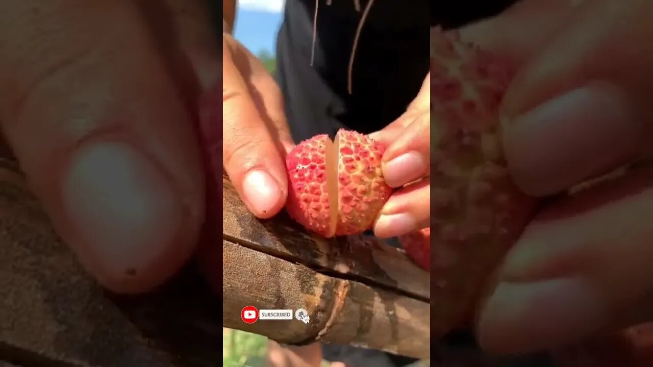 beautiful 😍 seedless lichi fruit cutting satisfying video #shorts